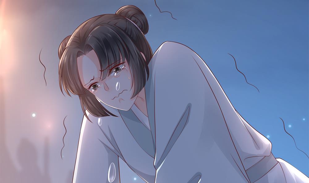 《贪财王妃夫君是个暖宝宝》第85话 先别杀婉妃 第25页