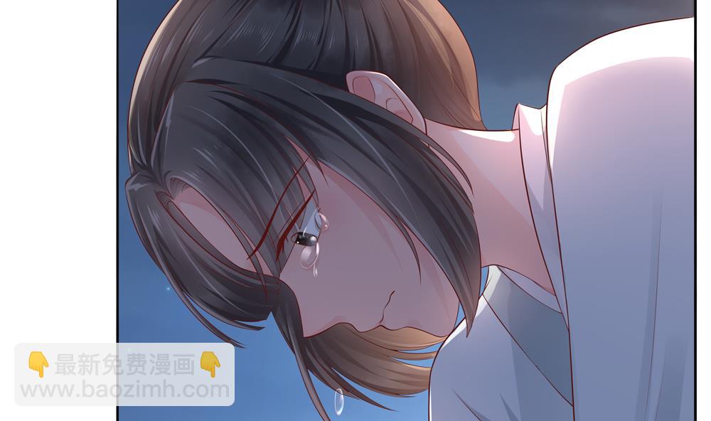 《贪财王妃夫君是个暖宝宝》第85话 先别杀婉妃 第29页