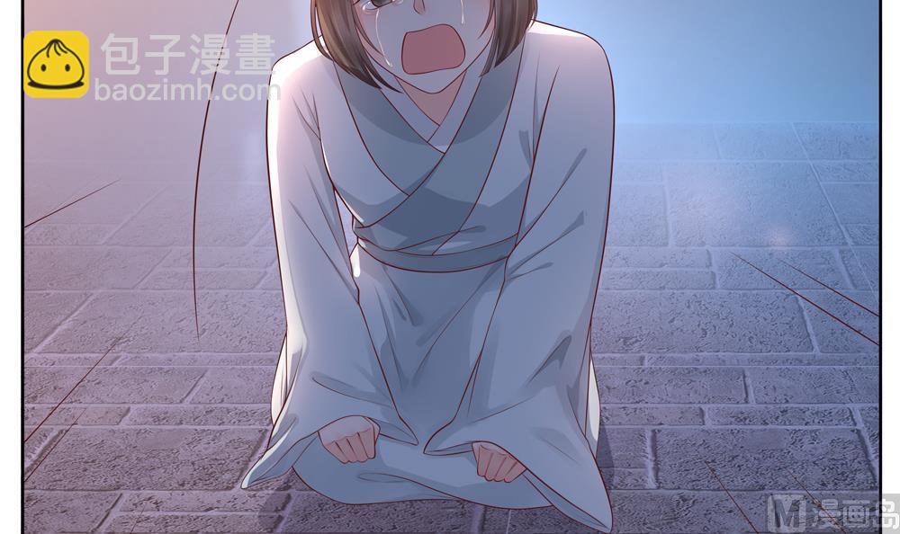 《贪财王妃夫君是个暖宝宝》第85话 先别杀婉妃 第33页
