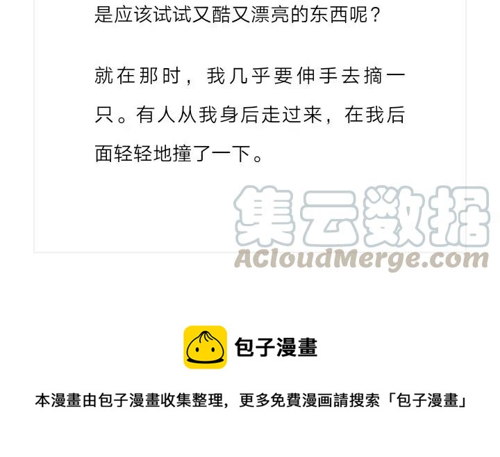 《小说版元素法则》第229章 第14页
