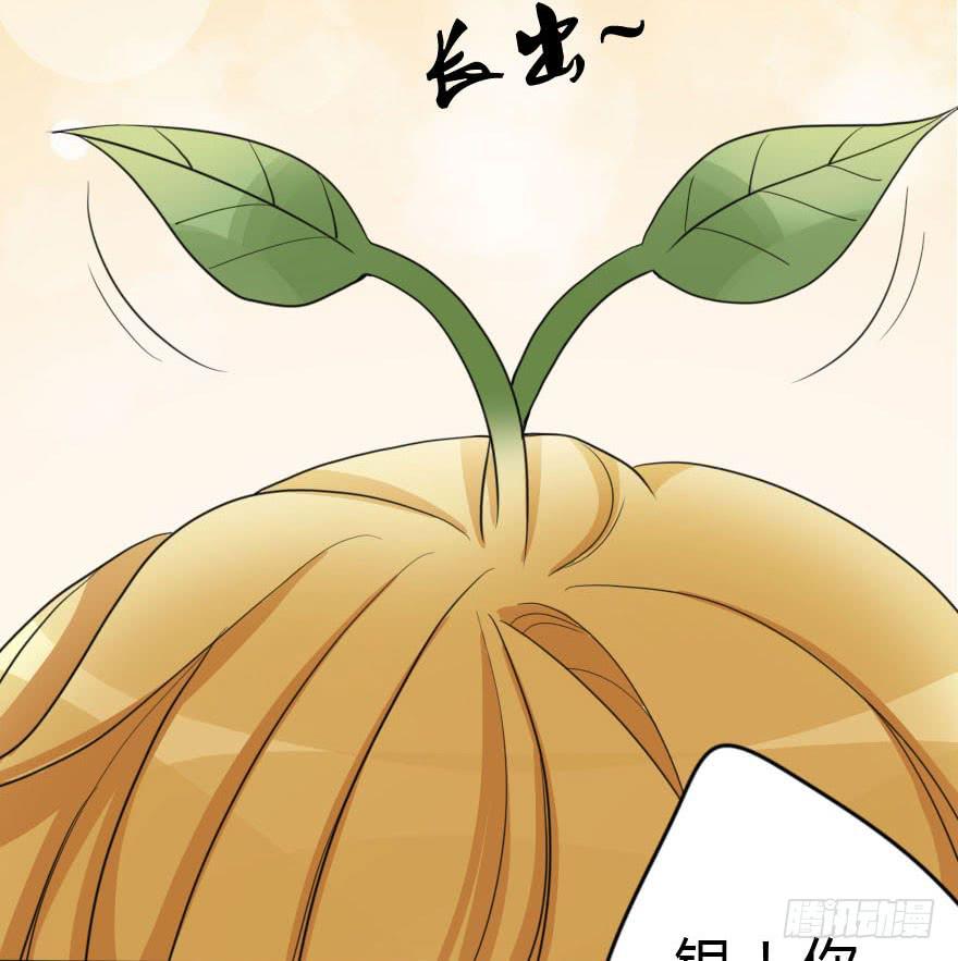 《加油！女皇陛下！》你见过黑色的婚纱吗？ 第16页