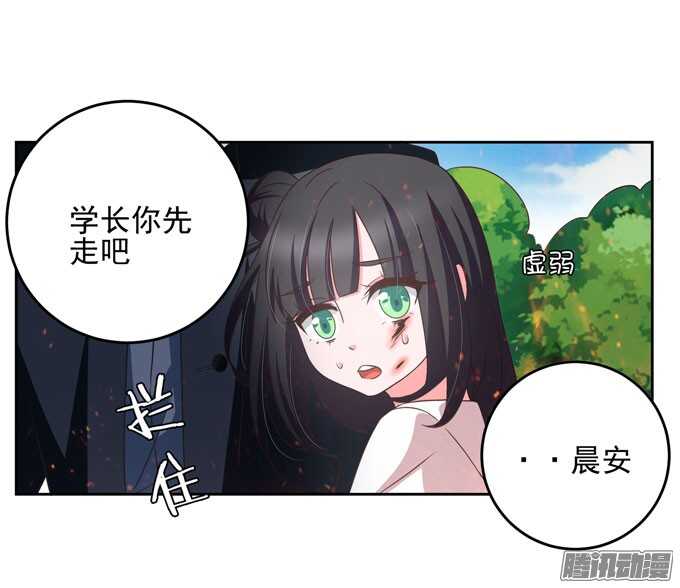 《我的嗜血恋人》晨安不要和他走 第19页
