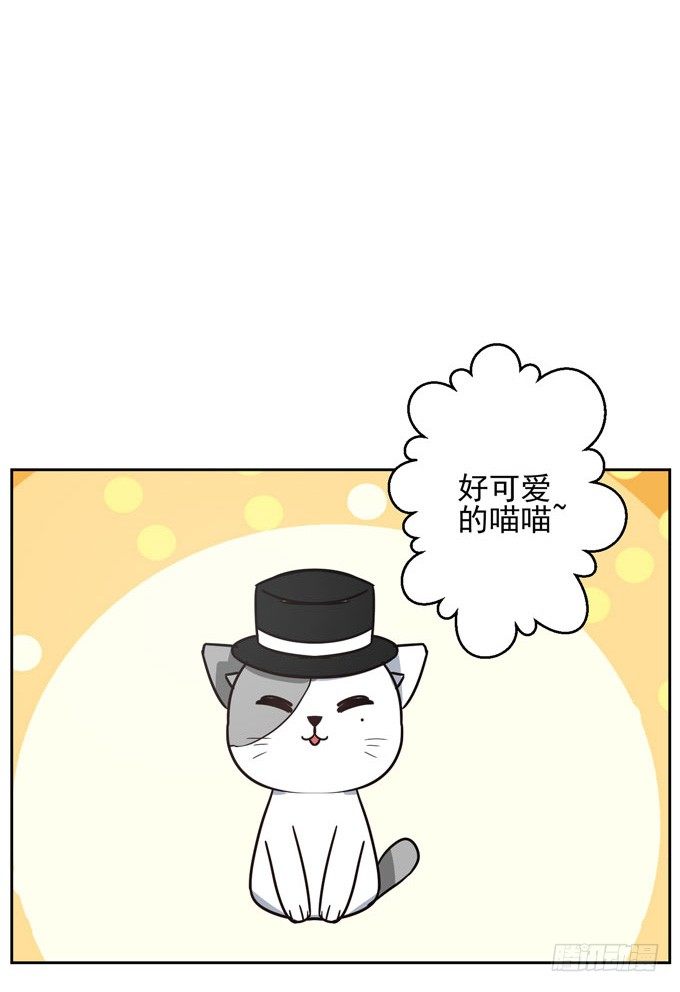 《我的嗜血恋人》番外！喵喵大作战 第13页