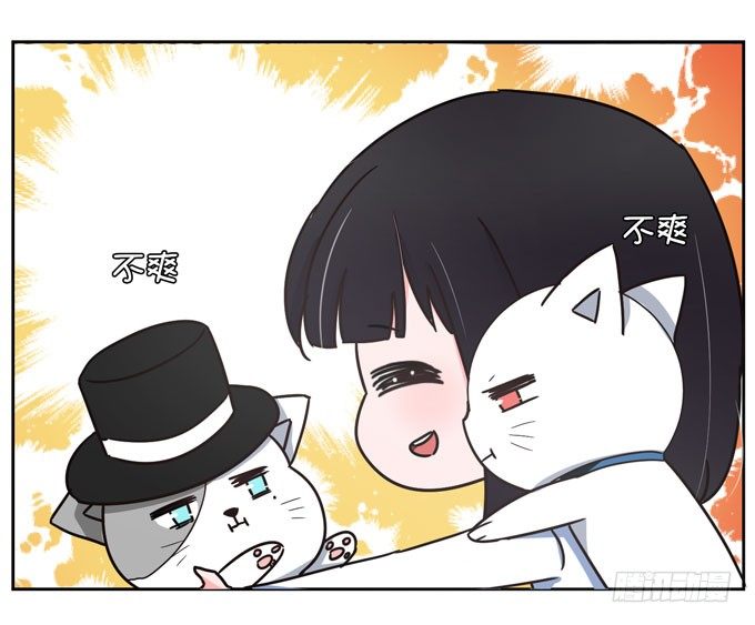 《我的嗜血恋人》番外！喵喵大作战 第14页