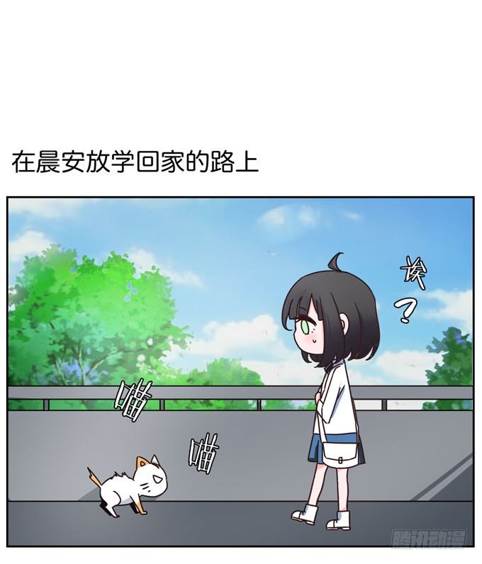 《我的嗜血恋人》番外！喵喵大作战 第1页