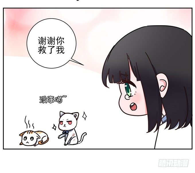 《我的嗜血恋人》番外！喵喵大作战 第4页