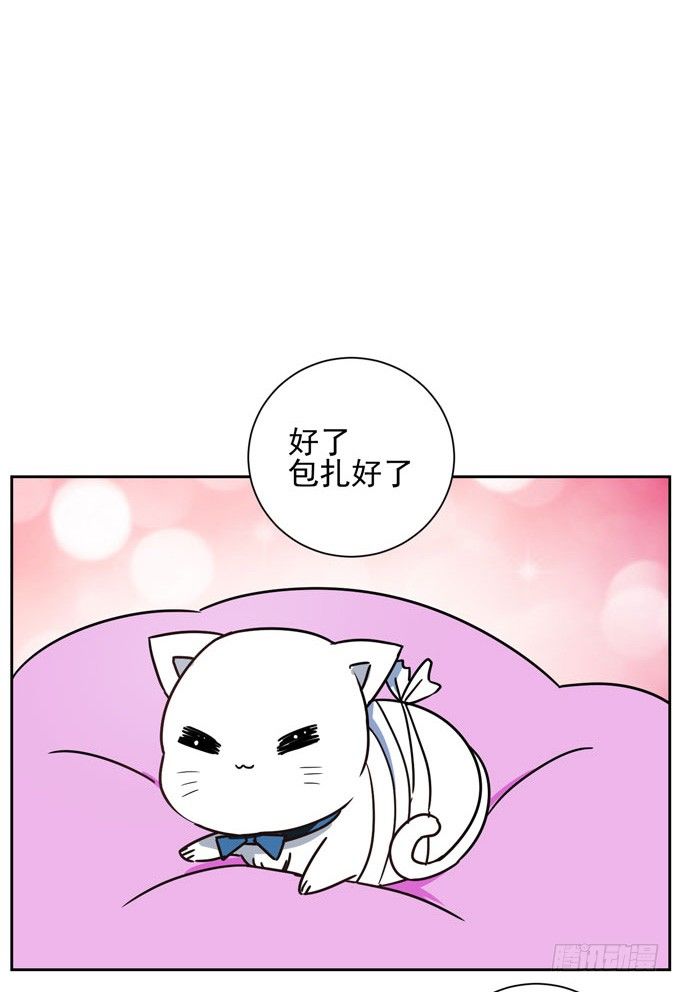 《我的嗜血恋人》番外！喵喵大作战 第5页