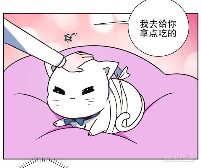 《我的嗜血恋人》番外！喵喵大作战 第6页