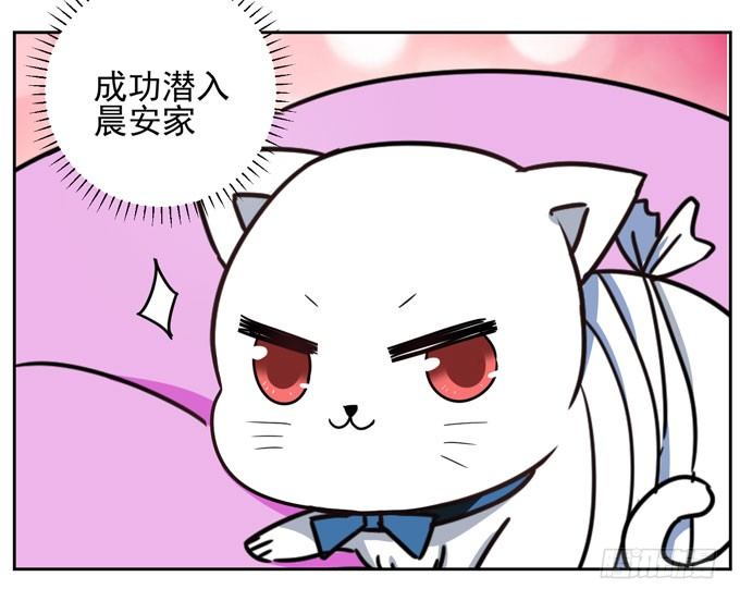 《我的嗜血恋人》番外！喵喵大作战 第7页