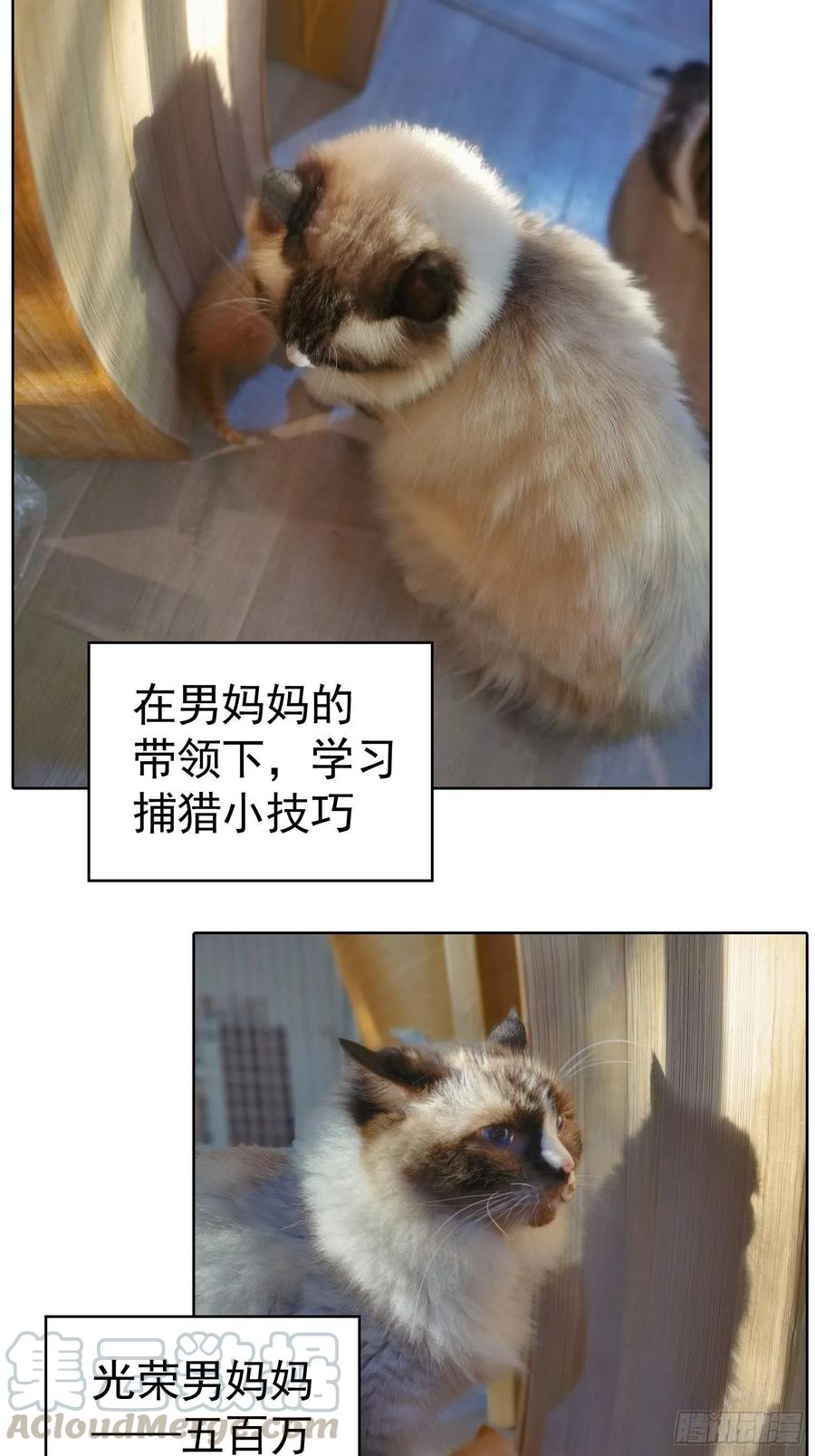 《要被吃掉了》43 幸好受伤的不是你 第35页
