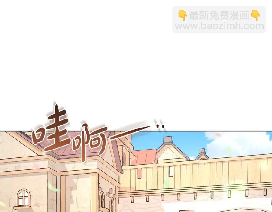 《陛下，别对我动心》第39话 全新的生活 第29页