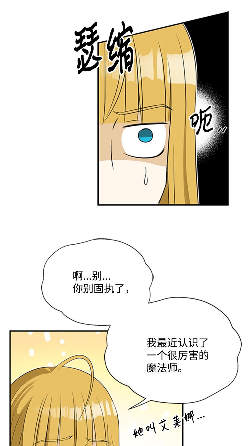 《打工吧！天才魔法师》01 接二连三的刺客 第47页