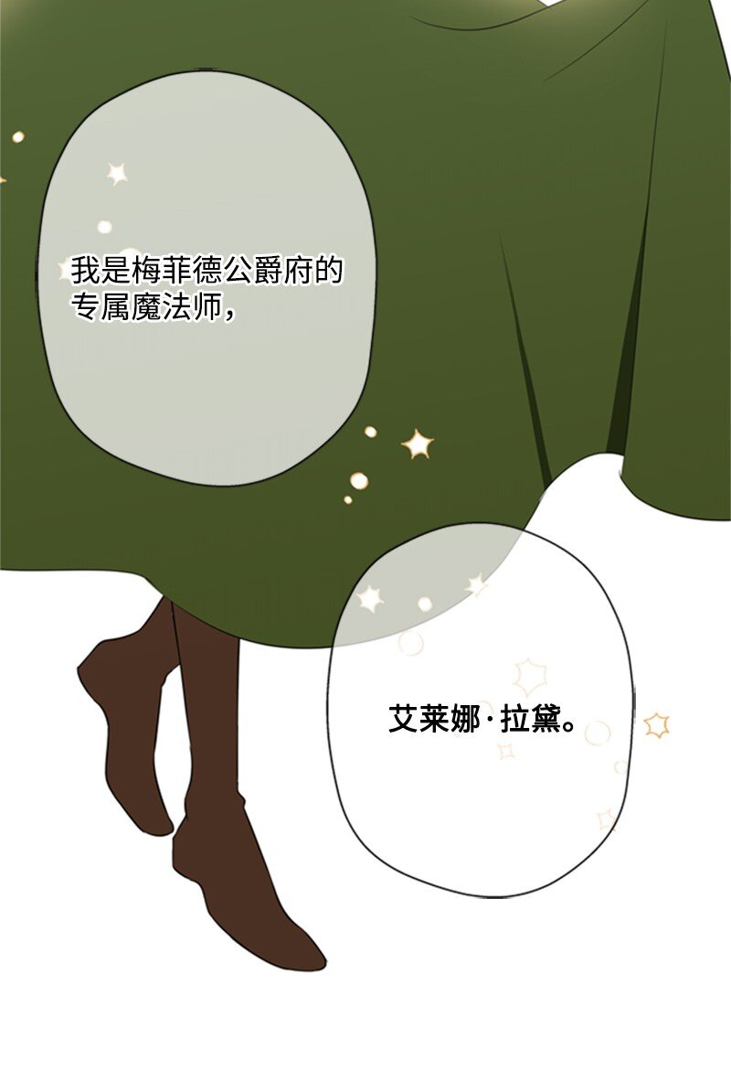 《打工吧！天才魔法师》06 皇宫行各怀鬼胎 第29页