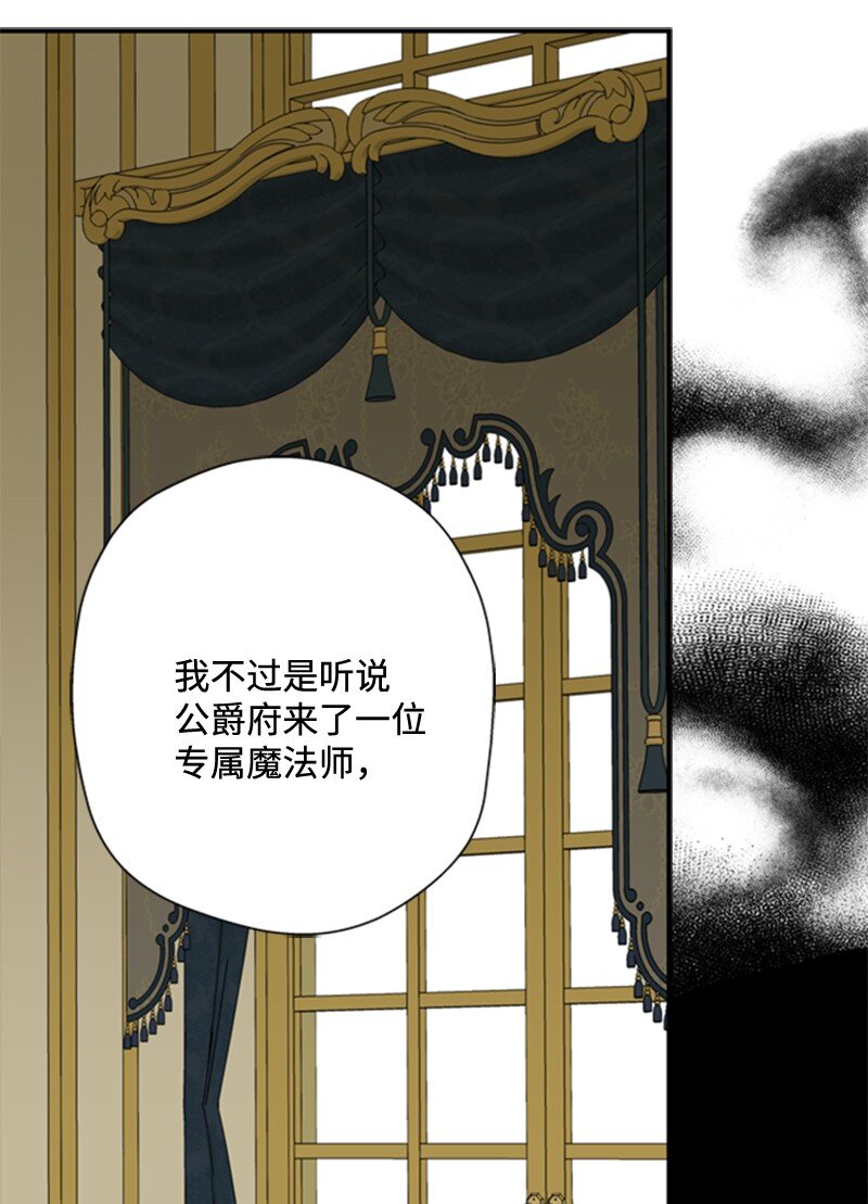 《打工吧！天才魔法师》06 皇宫行各怀鬼胎 第39页