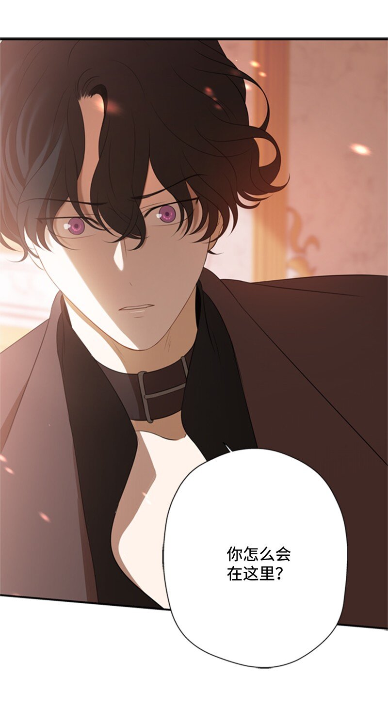 《打工吧！天才魔法师》07 野心勃勃的妖妇 第2页