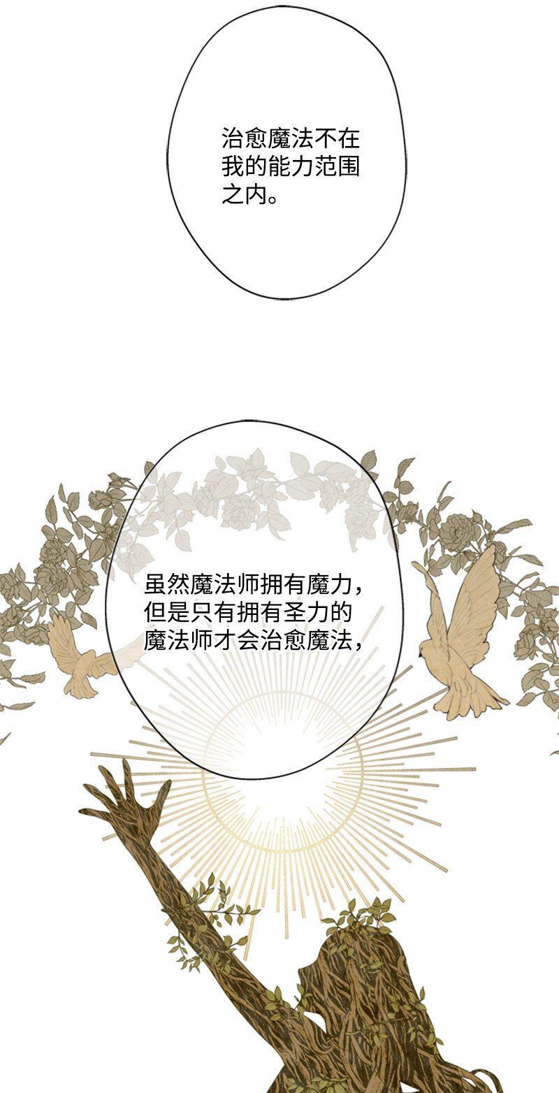 《打工吧！天才魔法师》14 皇宫派对遭袭击 第40页