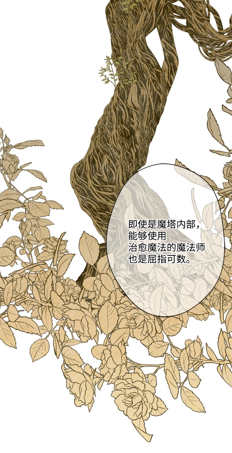 《打工吧！天才魔法师》14 皇宫派对遭袭击 第41页