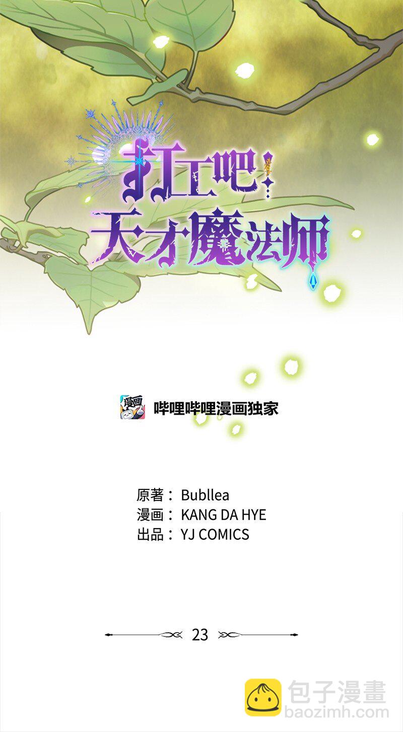 《打工吧！天才魔法师》23 皇宫前皇妃作秀 第17页