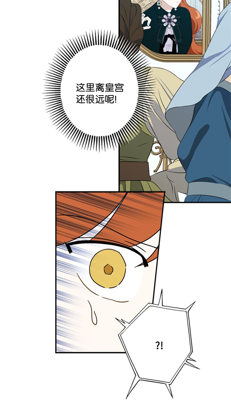 《打工吧！天才魔法师》23 皇宫前皇妃作秀 第19页