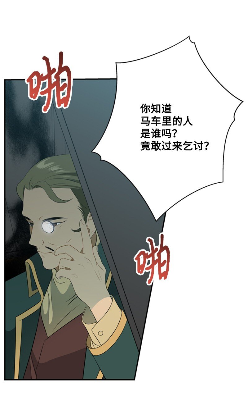 《打工吧！天才魔法师》23 皇宫前皇妃作秀 第29页