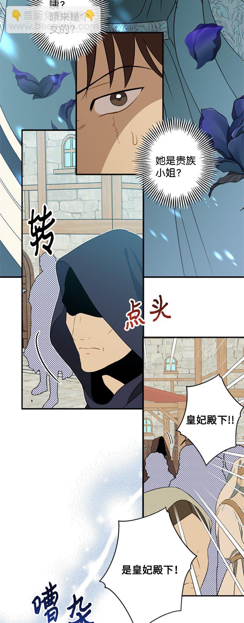 《打工吧！天才魔法师》23 皇宫前皇妃作秀 第37页