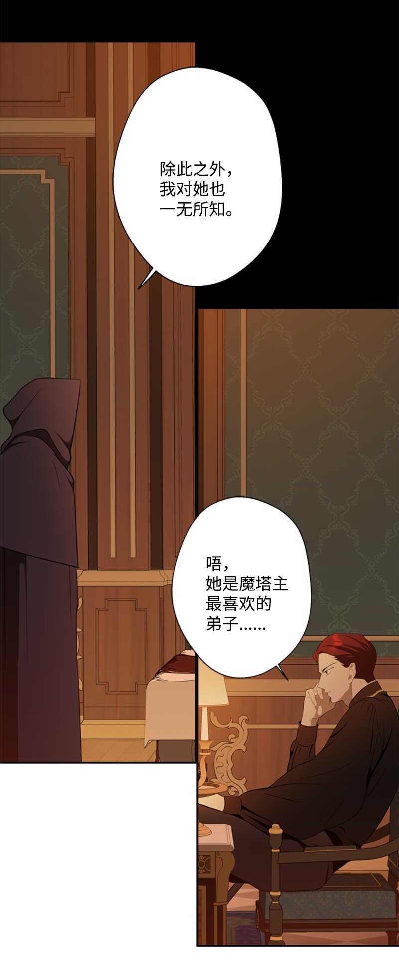 《打工吧！天才魔法师》28 偷偷出府买小说 第10页