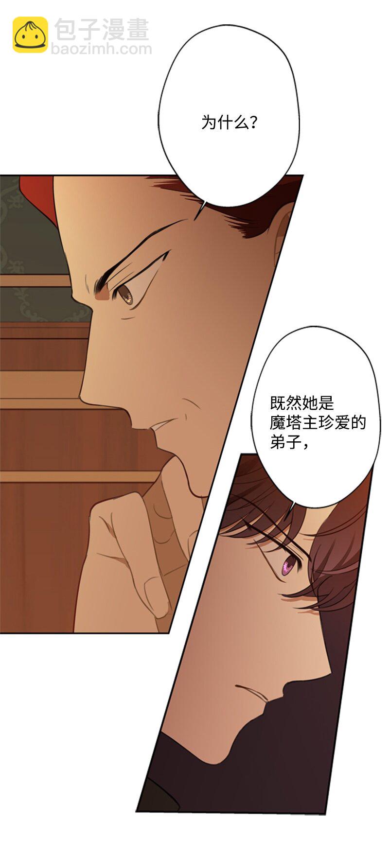 《打工吧！天才魔法师》28 偷偷出府买小说 第12页
