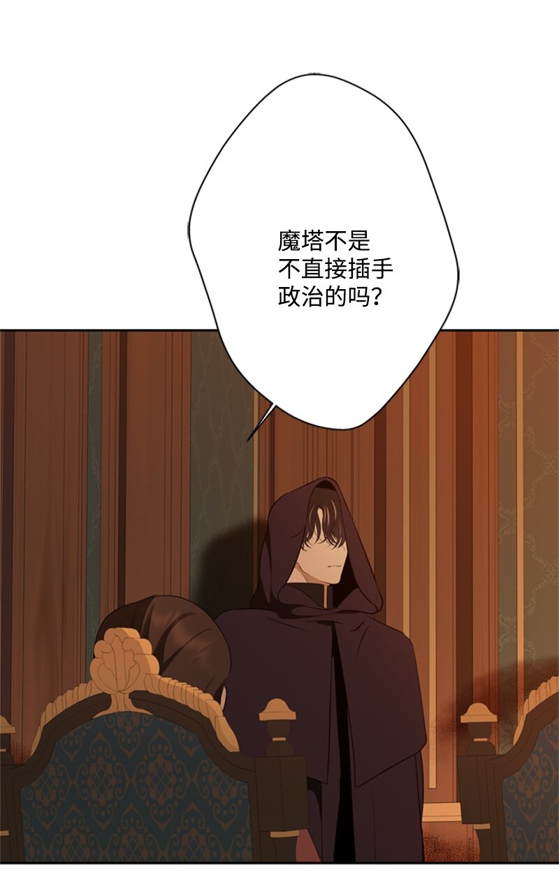 《打工吧！天才魔法师》28 偷偷出府买小说 第15页