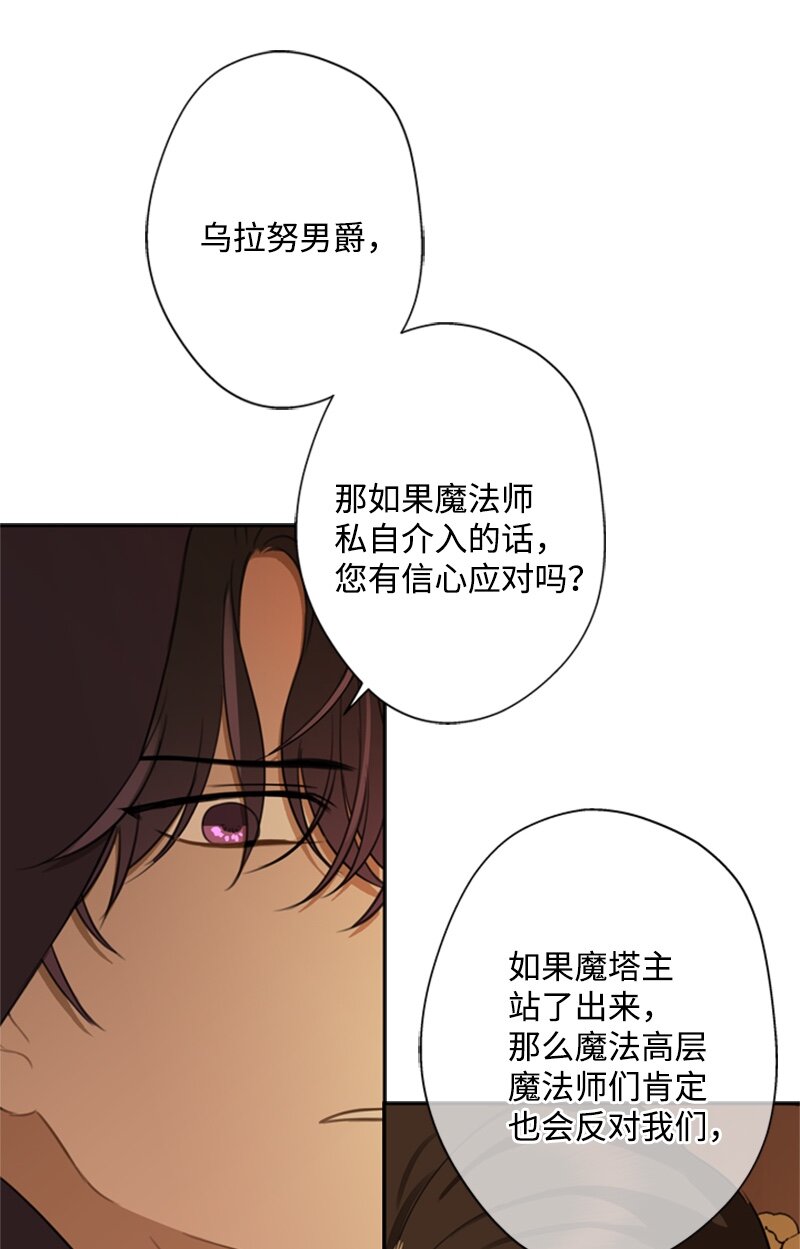 《打工吧！天才魔法师》28 偷偷出府买小说 第16页