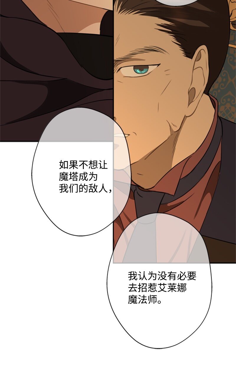 《打工吧！天才魔法师》28 偷偷出府买小说 第17页