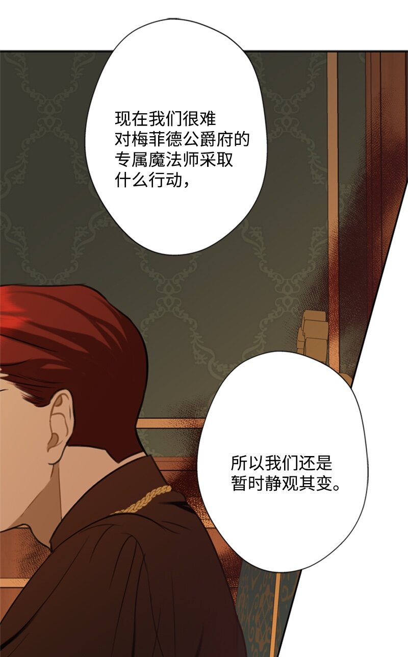 《打工吧！天才魔法师》28 偷偷出府买小说 第19页