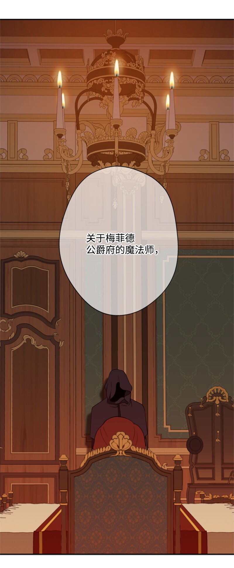 《打工吧！天才魔法师》28 偷偷出府买小说 第2页