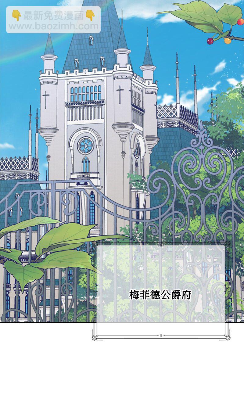 《打工吧！天才魔法师》28 偷偷出府买小说 第31页