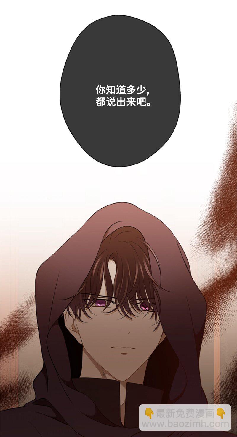 《打工吧！天才魔法师》28 偷偷出府买小说 第3页