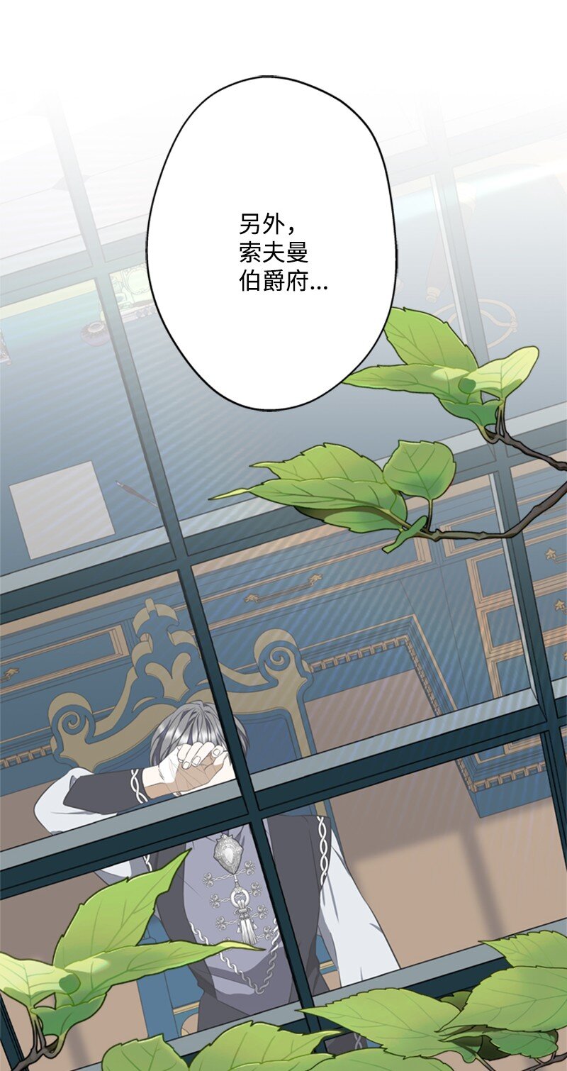 《打工吧！天才魔法师》40 小小年纪当公爵 第39页