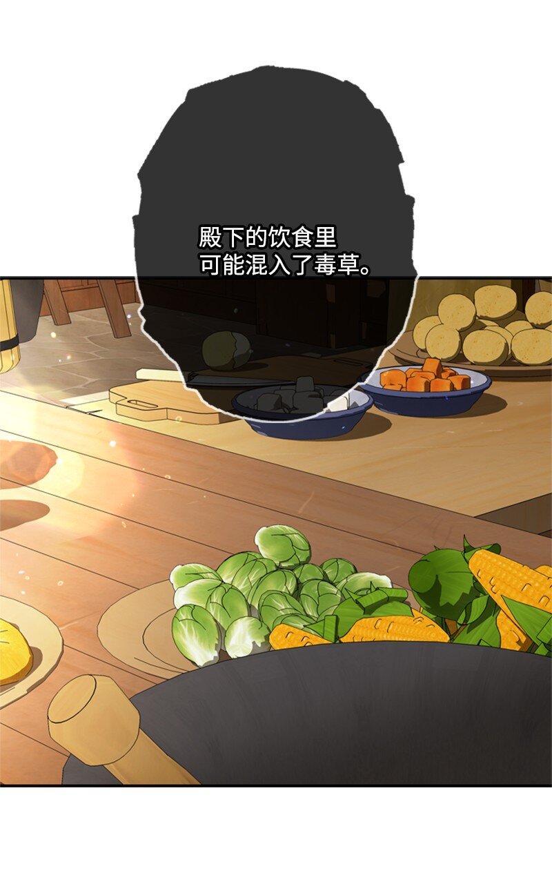 《打工吧！天才魔法师》46 皇太子中毒卧床 第36页