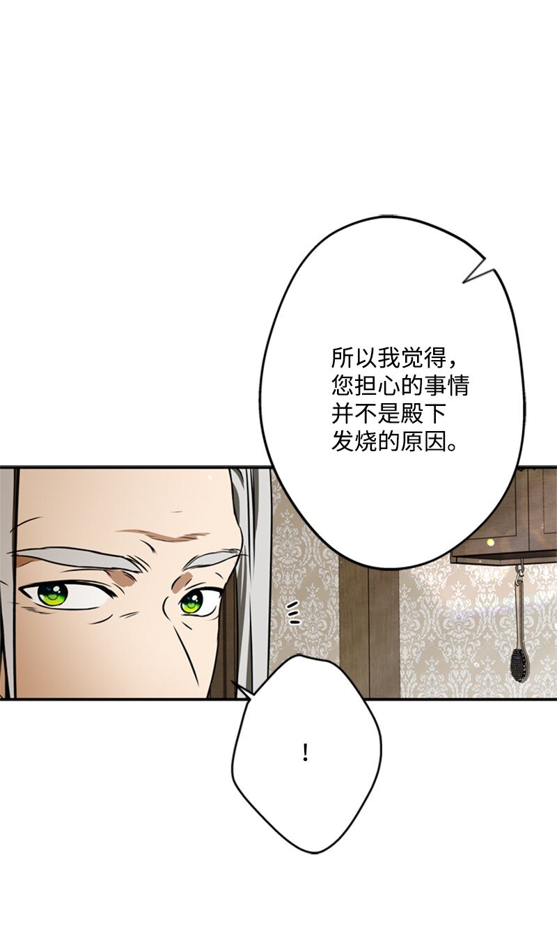 《打工吧！天才魔法师》46 皇太子中毒卧床 第38页