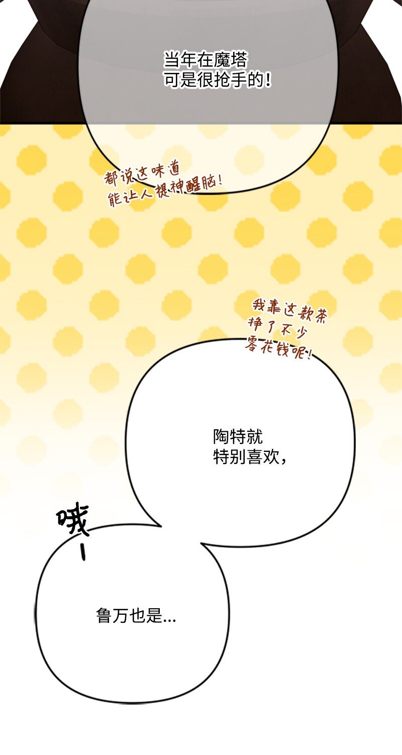《打工吧！天才魔法师》64 提神醒脑的好茶 第20页
