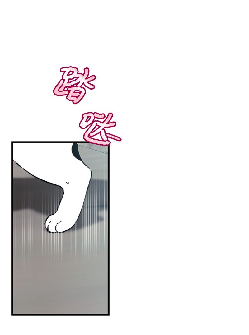 《打工吧！天才魔法师》66 皇妃的疯狂野心 第13页