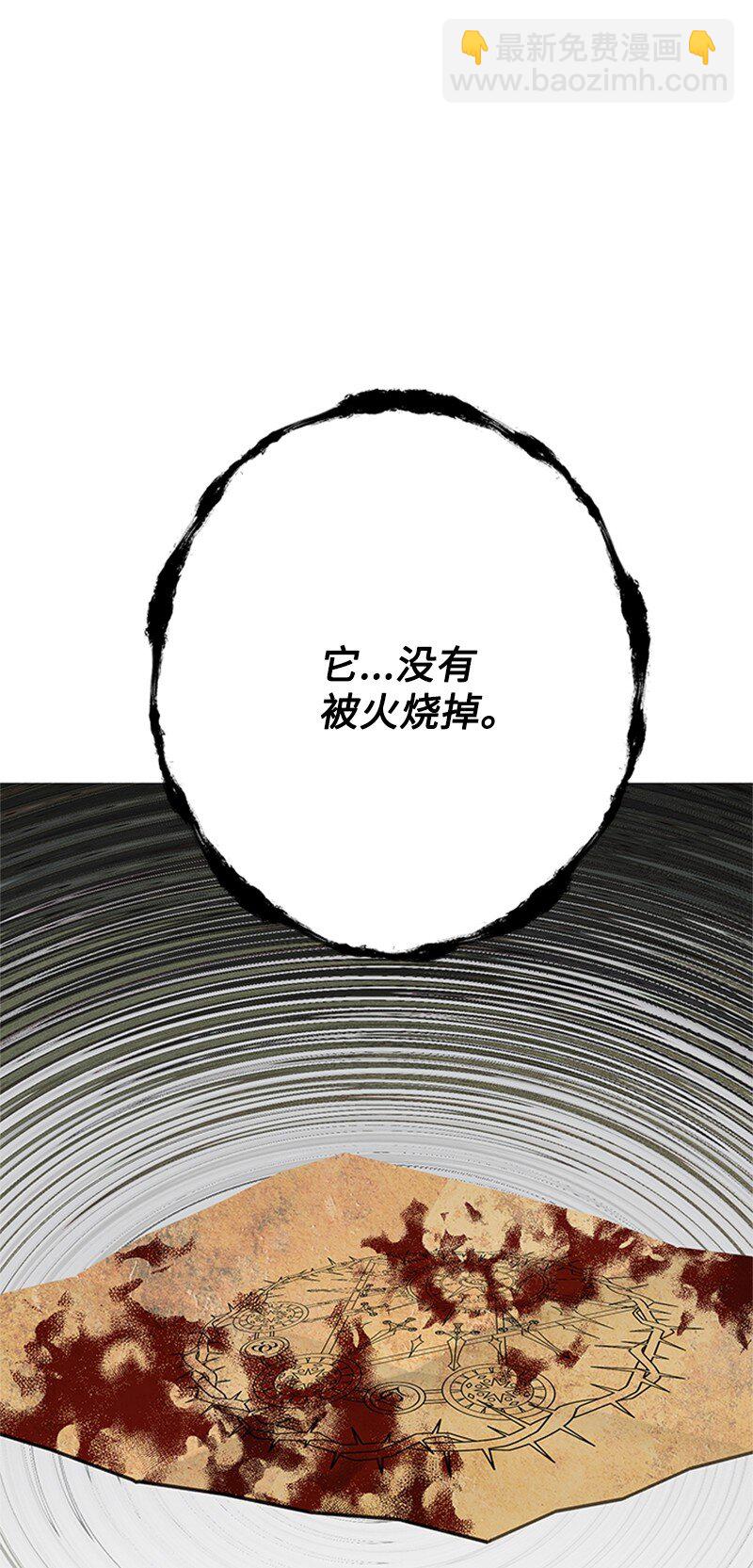 《打工吧！天才魔法师》74 解铃还须系铃人 第29页