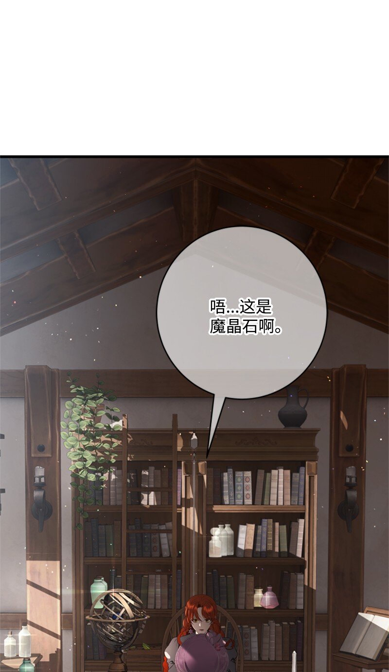 《打工吧！天才魔法师》80 我为你奔赴而来 第11页