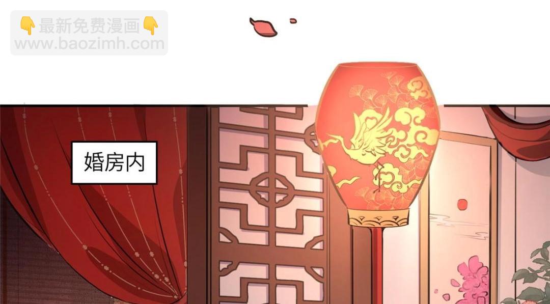 《摆烂后我掌控王爷芳心》02 新婚之夜 第22页