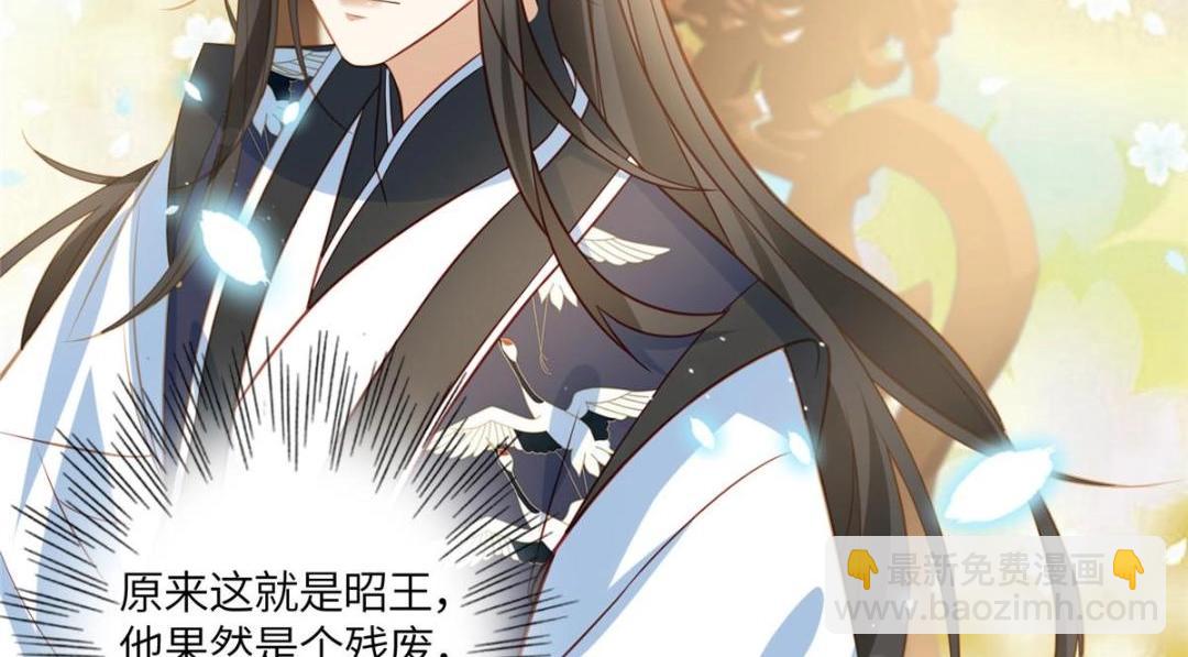 《摆烂后我掌控王爷芳心》09 行刺！ 第29页