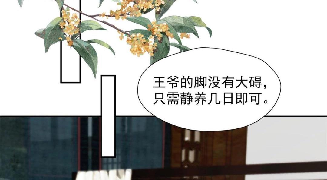 《摆烂后我掌控王爷芳心》41 圣人和我姐姐？ 第46页