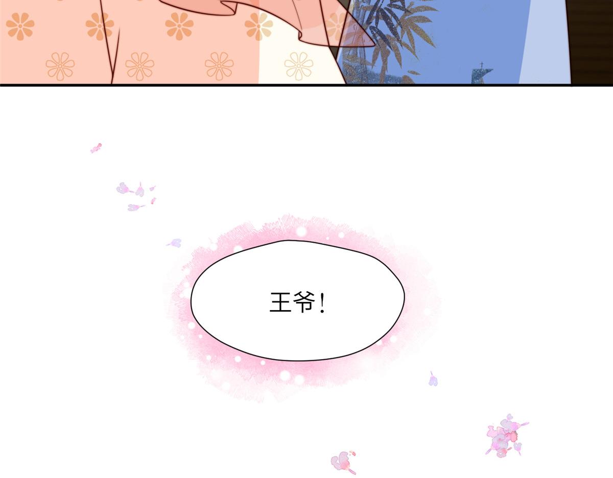 《摆烂后我掌控王爷芳心》51 昭王谋反？ 第27页