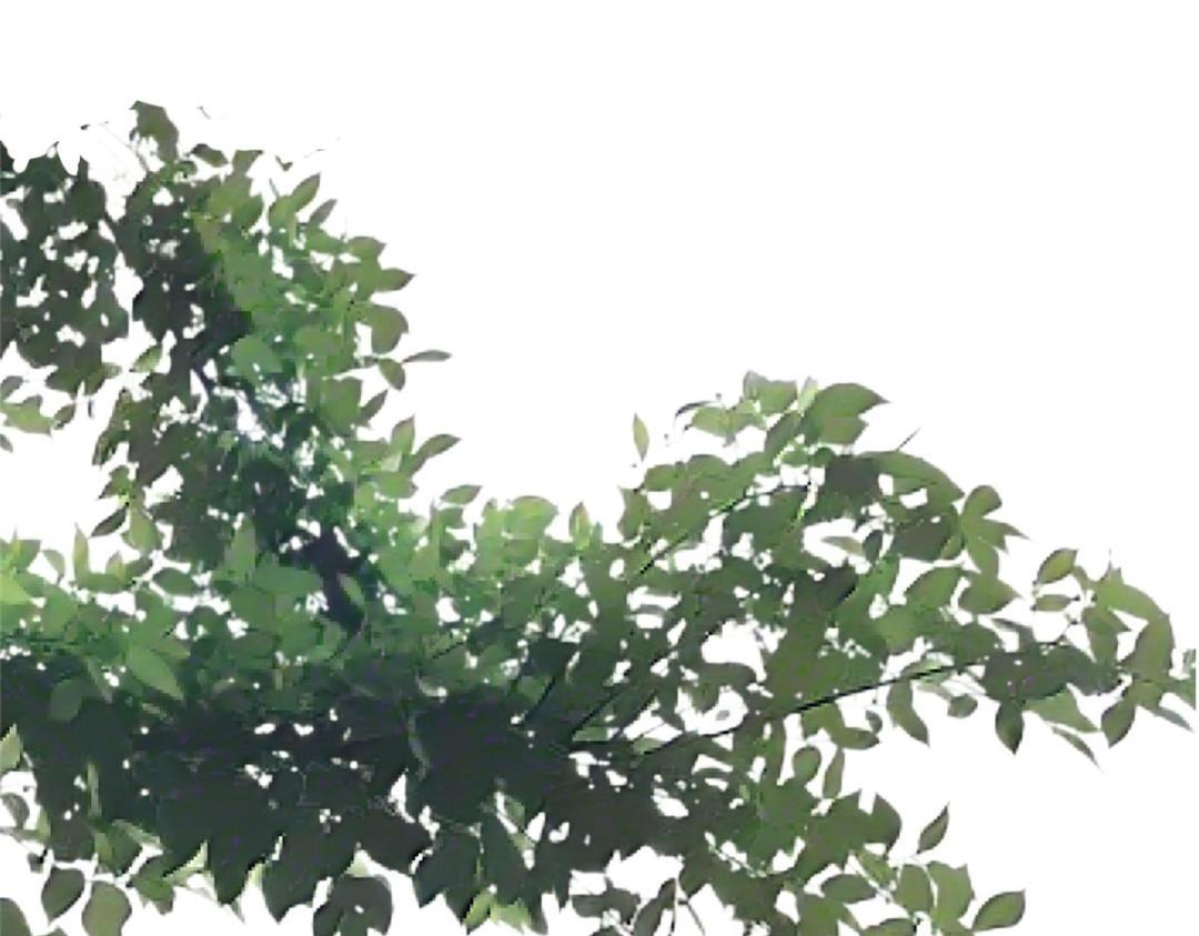 《摆烂后我掌控王爷芳心》52 自尽 第44页