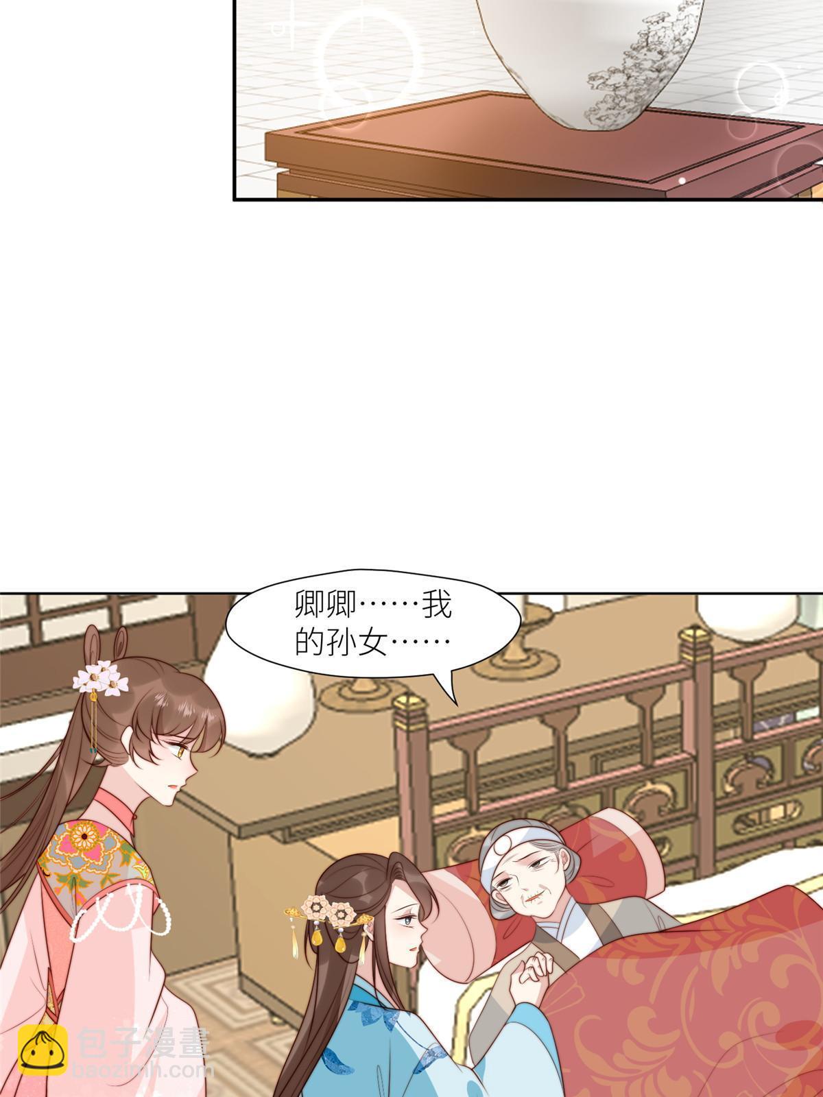 《摆烂后我掌控王爷芳心》96悲欢离合 第13页