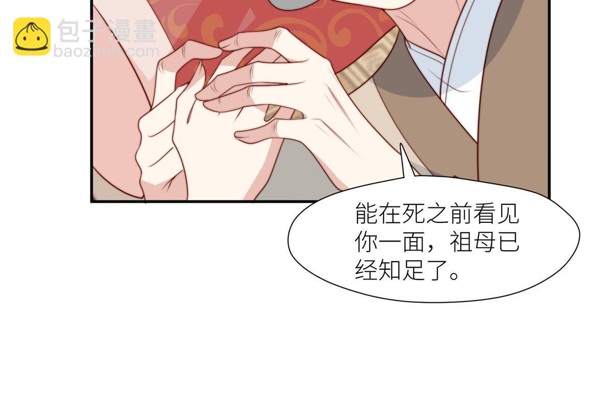 《摆烂后我掌控王爷芳心》96悲欢离合 第16页