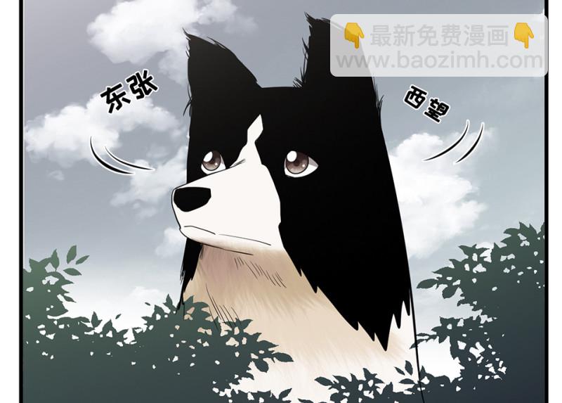 《怪奇杂货店》宠物食粮·五 第14页