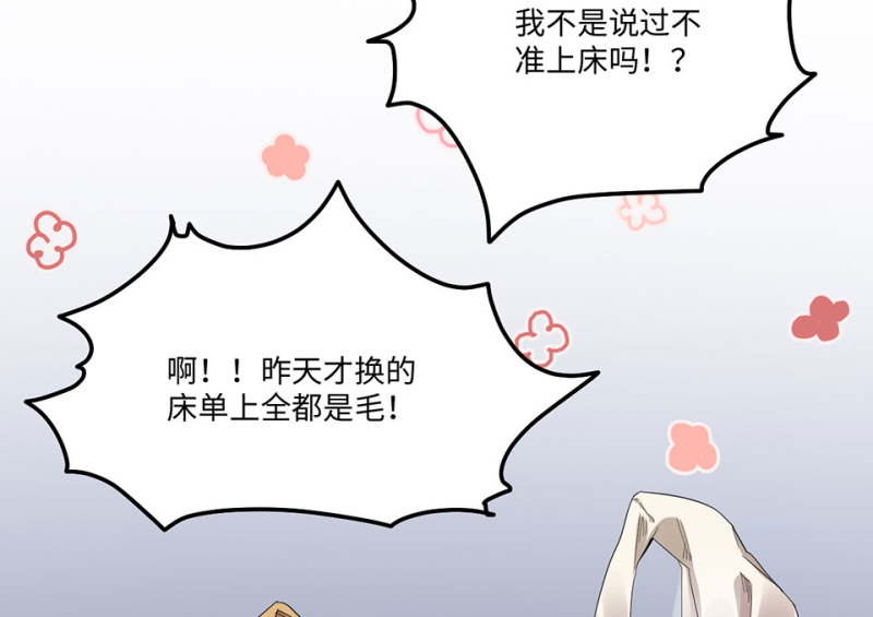 《怪奇杂货店》宠物食粮·二 第22页